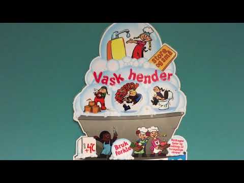Видео: Экскурсия в норвежский садик! 😊