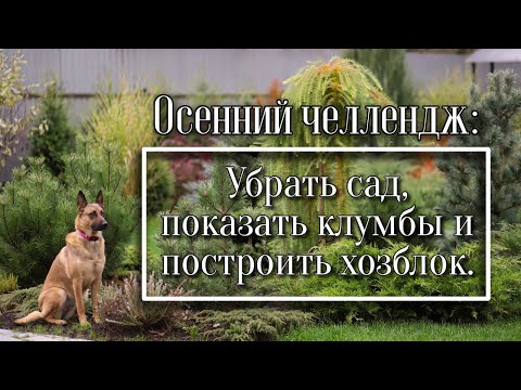 Видео: ЧТО ДЕЛАТЬ ОСЕНЬЮ В САДУ: УБОРКА, СТРОЙКА, МОИ КЛУМБЫ.