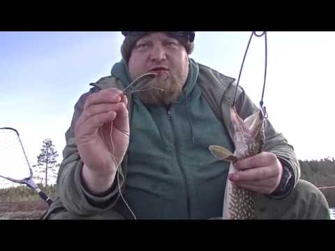 Видео: Секретная блесна на карельскую щуку. И тайные знания ее использования.