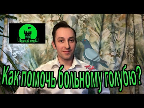 Видео: №1. Что делать если подобрал больного голубя? Осмотр, диагностика и лечение.