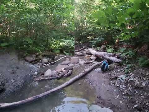 Видео: Белореченское месторождение. Загадочная штольня №9. Ручей Сюк.