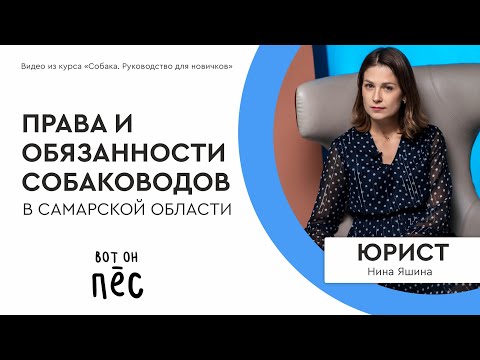 Видео: Права и обязанности собаководов. Юрист. Правила выгула и содержания собак