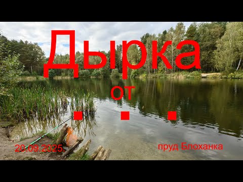 Видео: Дырка от ...  20.09.2025. оз. Блоханка. село Новое. Рыбалка в Подмосковье.