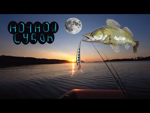 Видео: СУДАК НА ВОБЛЕР. КАК ПОЙМАТЬ СУДАКА НОЧЬЮ.