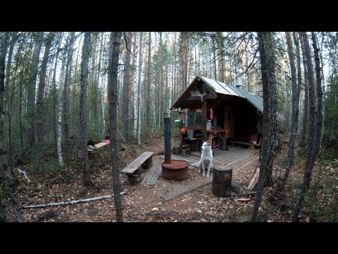 Видео: Шулюм из рябчика. Штирлиц на бунгало.