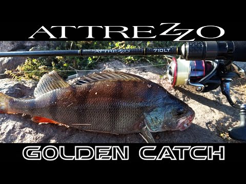 Видео: РЫБАЛКА С НОВИНКОЙ GOLDEN CATCH ATTREZZO 710LT