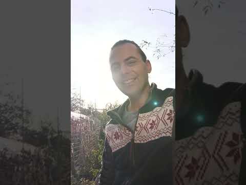 Видео: Тихомир Трайков - 1-ви клип