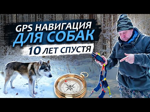 Видео: Навигация для Собак ( 10 лет спустя )
