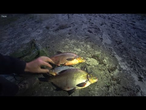 Видео: А після зливи з градом 💧☂проклюнув ЛЯЩ