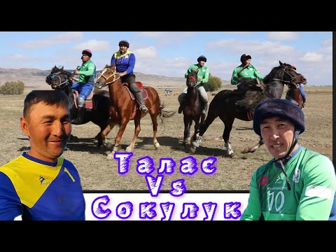 Видео: Талас & Сокулук / Жылдыздардын тиреши❤️‍🔥❤️‍🔥❤️‍🔥 Куттубай атанын ашына арналган көкбөрү.