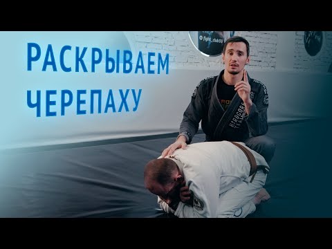 Видео: Раскрытие черепахи и болевые приемы для джиу-джитсу, мма, грэпплинга, дзюдо и самбо