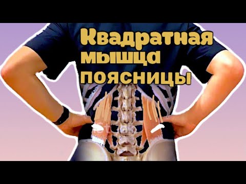 Видео: Квадратная мышца поясницы. Триггерные точки. Отраженная боль. Домашняя помощь