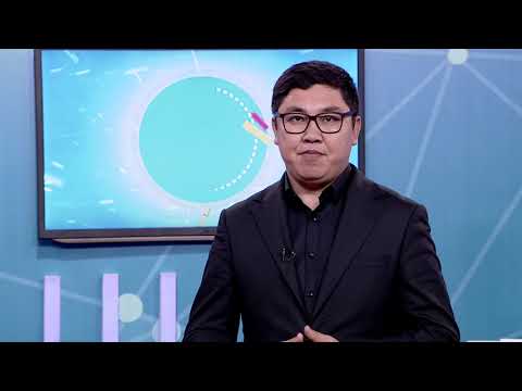 Видео: Дарын 19.10.2024