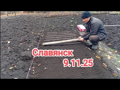 Видео: Обстановка/ Садим чеснок в зиму/ Куда я дел листья?/ Борабака на прогулке.