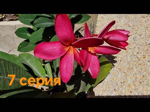 Видео: ТАЙЛАНД. ПХУКЕТ.ОТЕЛЬ*BEYОND KATA*4* 16.03.2024г,