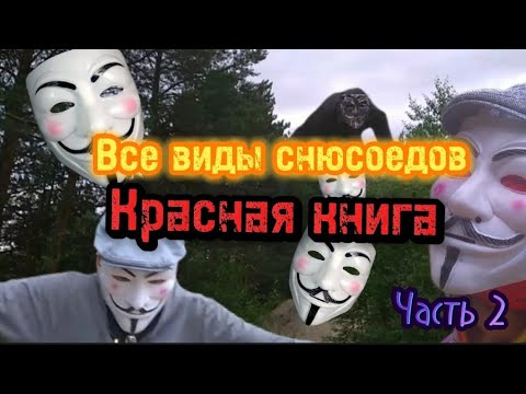 Видео: ВСЕ ВИДЫ СНЮСОЕДОВ ЧАСТЬ 2