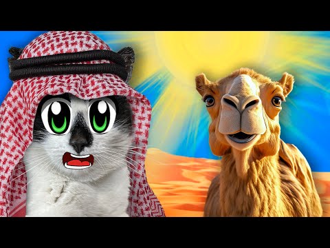 Видео: 24 ЧАСА В ПУСТЫНЕ! КОТ МАЛЫШ НАШЕЛ БЕЗДОМНОГО КОТА! ЧЕЛЛЕНДЖ НАЙТИ СЕКРЕТНУЮ КОМНАТУ в ОТЕЛЕ