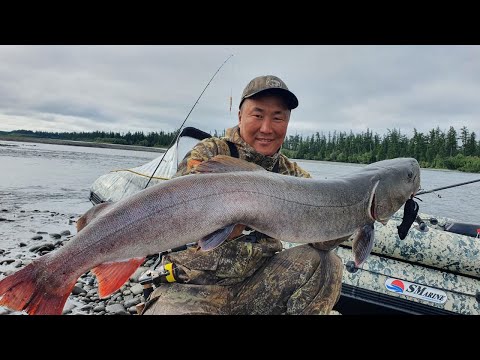 Видео: ОБЫЧНЫЙ СКРОМНЫЙ УЛОВ РЫБАКА В ЯКУТИИ!!! ПОЙМАТЬ ТАЙМЕНЯ!!!