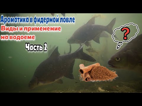 Видео: Виды и применение ароматики на рыбалке. Ароматика в фидерной ловле часть 2