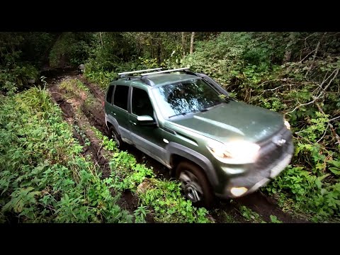 Видео: В глушь на Ниве ТРЕВЕЛ. Еле выбрался оттуда ВЕСНОЙ... Заброшенный старинный ДОМ.