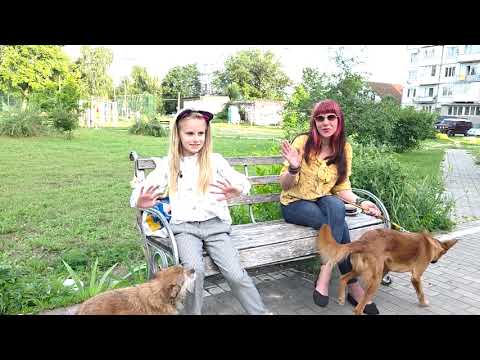 Видео: Хочу потрапити  до добрих людей.  Інтерв"ю   з волонтером тварин Оленою Литовченко