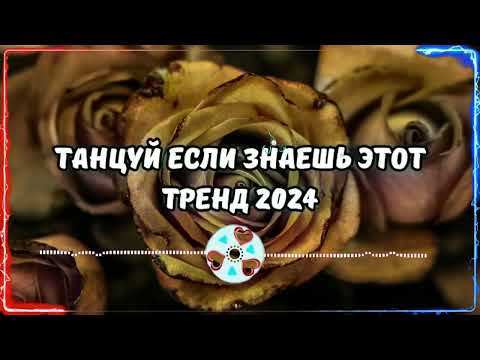 Видео: 💥ТАНЦУЙ ЕСЛИ ЗНАЕШЬ ЭТОТ ТРЕНД 2024💥