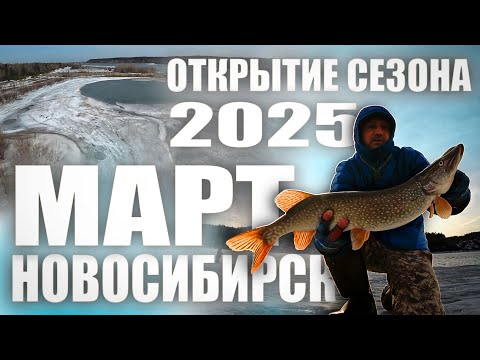 Видео: Спиннинг 2025, открытие нового сезона . Рыбалка на джиг-риг в НОВОСИБИРСКЕ.