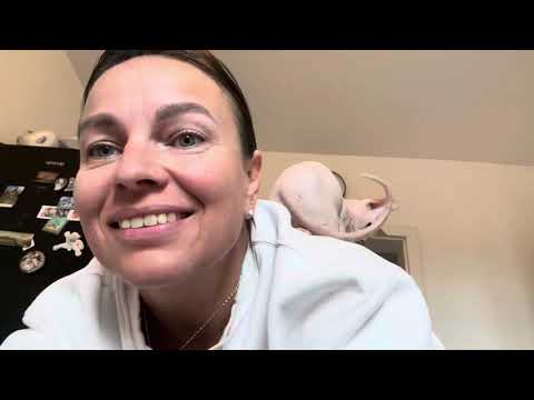 Видео: Встречайте! 🐈Мотя и 🐈‍⬛Сима  Обзор корма и неожиданная концовка 🤭