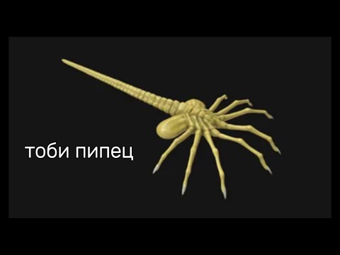 Видео: Атака на *титанов* Ксено (сс14)