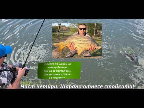 Видео: ШАРАНА отнесе СТОЙКАТА. Част четири. Риболов на ШАРАН на яз  ПАЛИЦИ. КАК да се ПОДГОТВИМ за ВОДОЕМА.