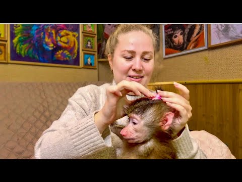 Видео: СМЕШНО ДО СЛЕЗ! Анфиса у нас теперь УХОЖЕННАЯ!))