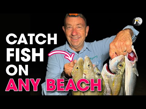 Видео: Ловите рыбу в этом месте на любом пляже, и вы поймаете рыбу ✅