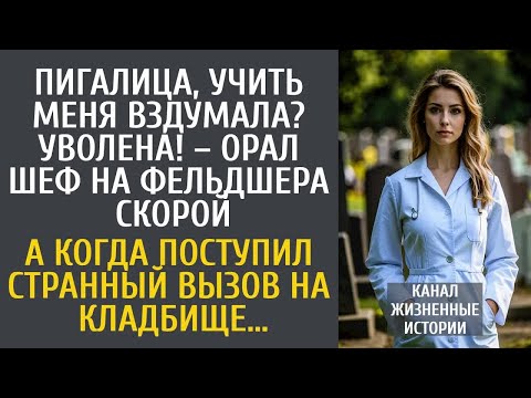 Видео: Пигалица, учить меня вздумала？ – орал шеф на фельдшера скорой… А когда поступил вызов на кладбище…