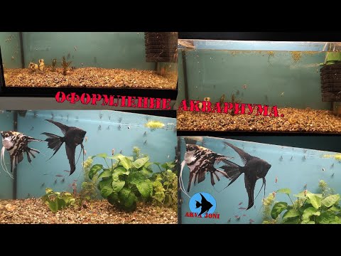 Видео: Оформление аквариума.