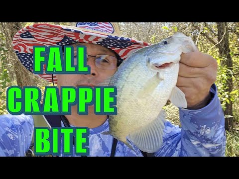 Видео: КРАППИ В РЕЧАХ МЕЛКИЕ! РЫБАЛКА И ПОПЛАВОК!