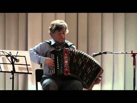 Видео: Дербенко Евгений, гармошка