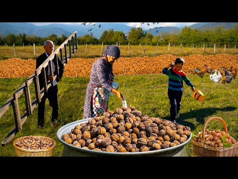 Видео: Бабушка собрала ГРЕЦКИЙ ОРЕХ с внуками | ЛУЧШИЕ рецепты с грецкими орехами