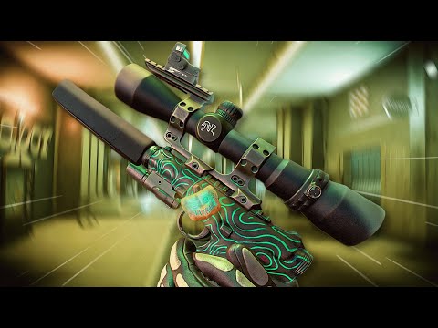 Видео: В торговый центр с комплектованным Ruger!