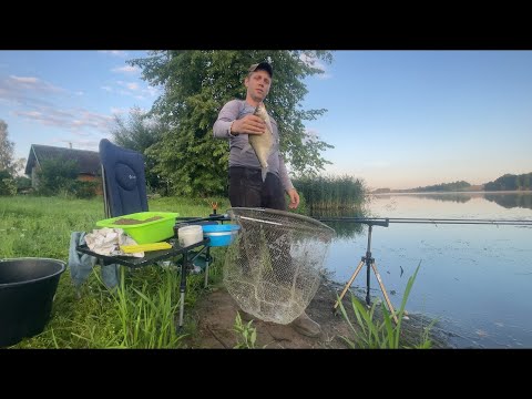 Видео: Фидерная раздача на Тетеринском водохранилище, поклевка одна за одной