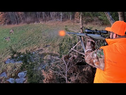 Видео: Выстрел в сердце дымит оленя! - Охота на оленей из винтовки в Пенсильвании
