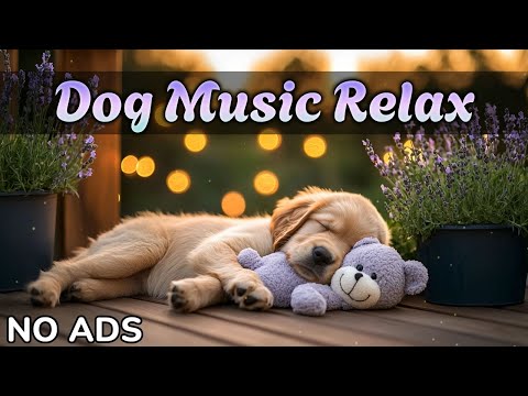 Видео: 🐕 Музыка для Собаки | Помощь при тревоге и одиночестве | Без перерыва и рекламы 🎶