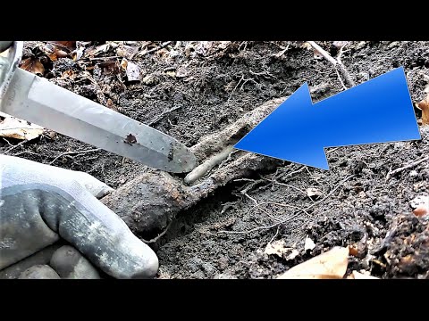 Видео: RARE FINDS! Почему их никто не обнаружил...207.