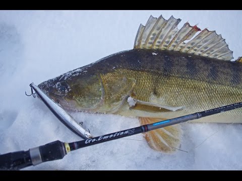 Видео: Рыбалка. Ловля судака ночью на спиннинг. Общие правила. TIP 22