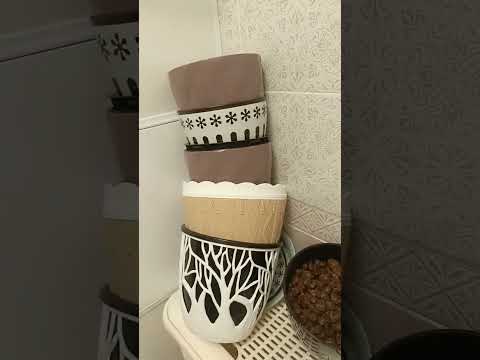 Видео: Пересаживаем цветы