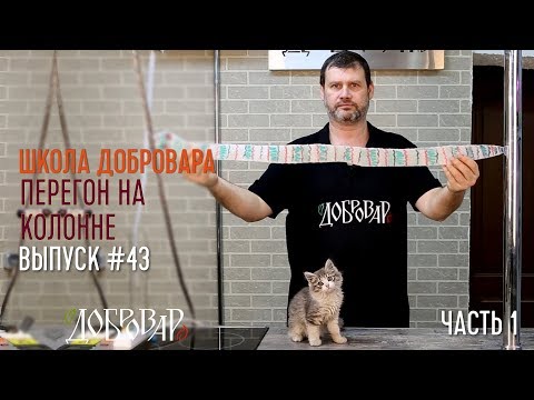 Видео: Перегон на колонне (часть 1) - Школа Добровара #43