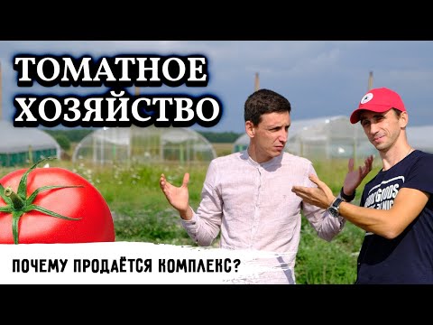 Видео: Тепличное хозяйство с отоплением // Розовый томат // Причина продажи