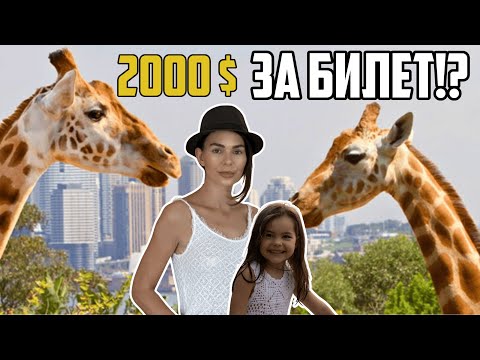 Видео: 🇺🇸 #3 |  ХРАНИХМЕ ЖИРАФИ..🦒🥕🍃✨