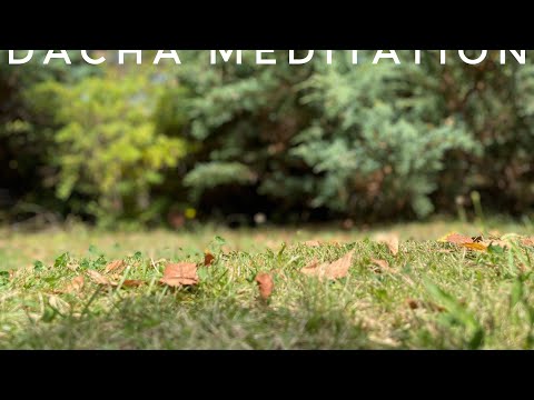 Видео: Похоронная лилия, ксерокс-Биш и «моя Надя приехала» (не приехала.)