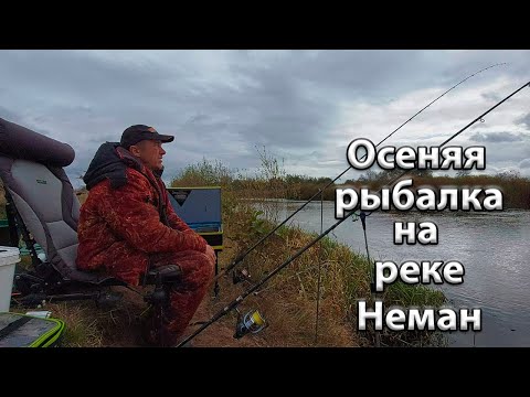 Видео: Осеняя рыбалка на реке Неман.Ловля фидером на реке.