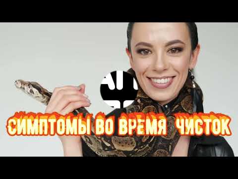 Видео: ЧТО ПРОИСХОДИТ ПРИ ЧИСТКАХ СНЯТИИ ПОРЧИ?И САМОЧУВСТВИЕ ЧЕЛОВЕКА.Черная Магия.Колдовство.Ведьмы.